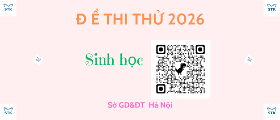 Đề thi thử TN THPT 2026 môn Sinh học – Hà Nội – lần 1
